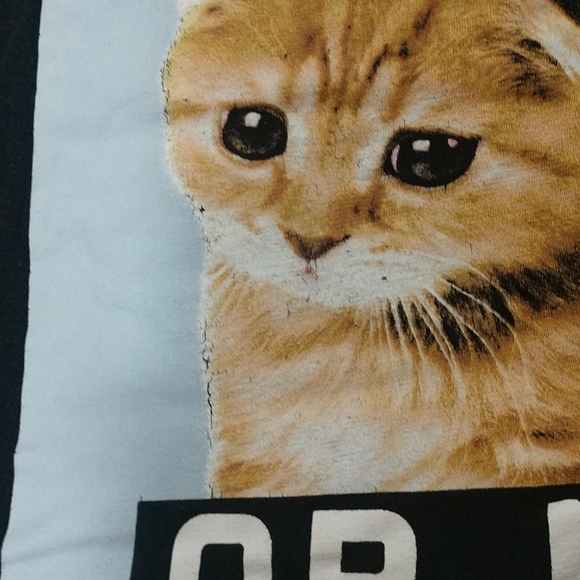 Cat Graphic Tee Or Nah - Picture 4 of 4